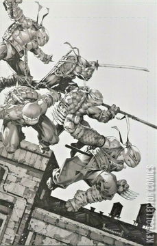 Variant Cover for Teenage Mutant Ninja Turtles #106