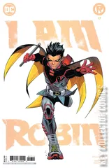 Cover for Robin #17