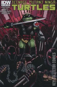 Teenage Mutant Ninja Turtles #25