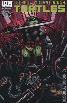 Variant Cover for Teenage Mutant Ninja Turtles #25