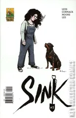 Cover for Sink #5