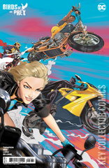 Variant Cover for Birds of Prey #8