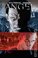 Variant Cover for Angel: After the Fall #29