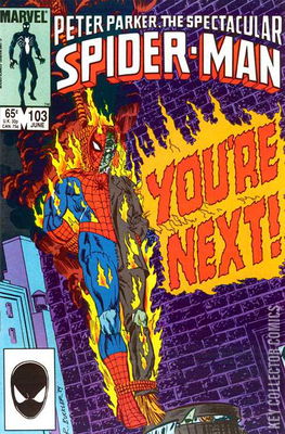 Peter Parker: The Spectacular Spider-Man