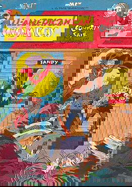 Cover art for All-American Comics #97