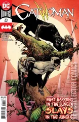 Cover for Catwoman #23