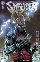 Cover for Teenage Mutant Ninja Turtles: Shredder #13