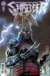Teenage Mutant Ninja Turtles: Shredder #13