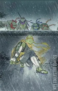 Teenage Mutant Ninja Turtles: Jennika #3