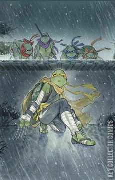 Variant Cover for Teenage Mutant Ninja Turtles: Jennika #3