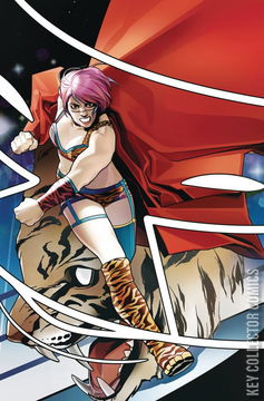 Variant Cover for WWE #17