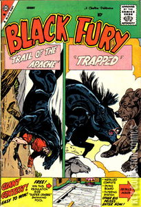 Black Fury #20