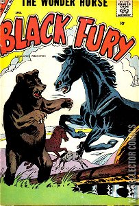 Black Fury #13
