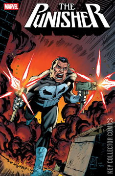 Variant Cover for Punisher #3