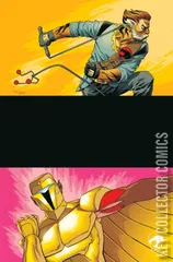 Variant Cover for Thundercats x Silverhawks #5