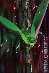 Variant Cover for The Green Hornet #4