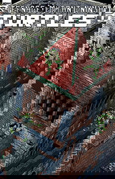 Variant Cover for Teenage Mutant Ninja Turtles #132