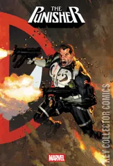Cover for Punisher #8