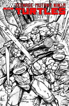 Variant Cover for Teenage Mutant Ninja Turtles #2
