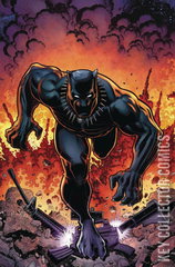 Variant Cover for Rise of the Black Panther #6