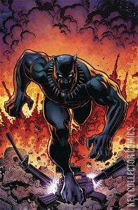 Rise of the Black Panther #6 