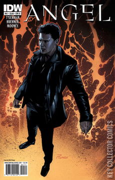 Variant Cover for Angel: After the Fall #41