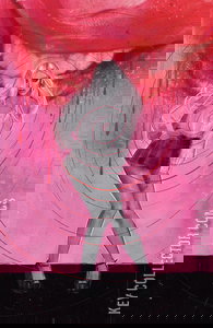 Smile: For the Camera #2