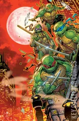 Variant Cover for Teenage Mutant Ninja Turtles #12