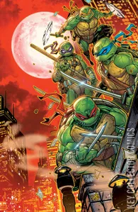 Teenage Mutant Ninja Turtles #12