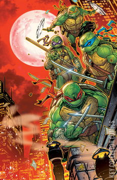 Variant Cover for Teenage Mutant Ninja Turtles #12
