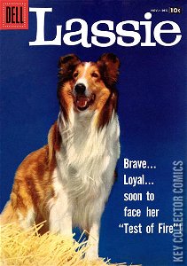 Lassie #37