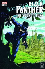 Variant Cover for Black Panther: The Sound & The Fury #1