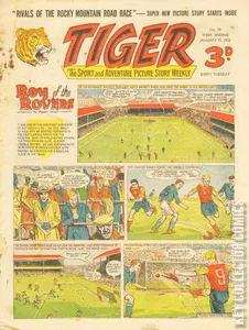 Tiger #19