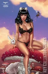 Variant Cover for Van Helsing: Shattered Soul #1