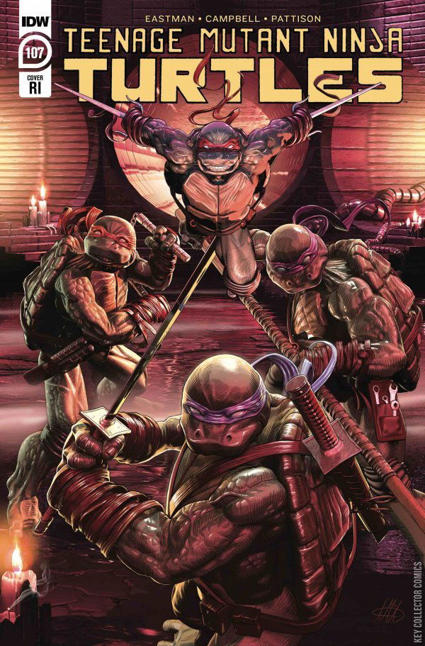 Variant Cover for Teenage Mutant Ninja Turtles: Urban Legends #26
