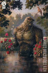 Cover for Swamp Thing: 1989 #1