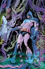 Cover for Batman #13