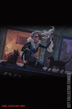 Variant Cover for Black Cat #10