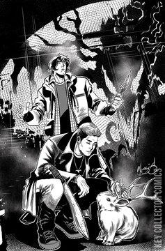 Variant Cover for Supernatural #5