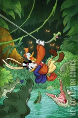 Variant Cover for DuckTales #11
