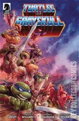 Cover for Turtles of Grayskull #4