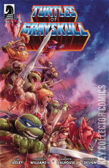 Variant Cover for Turtles of Grayskull #4