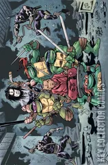 Variant Cover for Teenage Mutant Ninja Turtles #100
