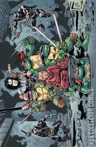 Teenage Mutant Ninja Turtles #100