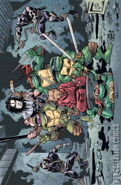 Variant Cover for Teenage Mutant Ninja Turtles #100