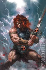 Cover for Thundercats #24