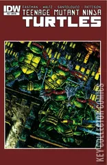 Variant Cover for Teenage Mutant Ninja Turtles #33