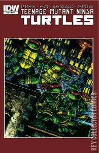 Teenage Mutant Ninja Turtles #33