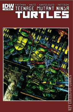 Variant Cover for Teenage Mutant Ninja Turtles #33