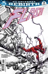 Flash #28